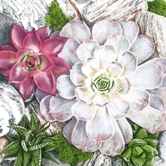 Servítky na dekupáž Succulent Plants and Stones Composition - 1 ks
