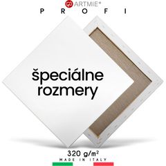 Maliarske plátno na ráme PROFI ARTMIE - špeciálna veľkosť