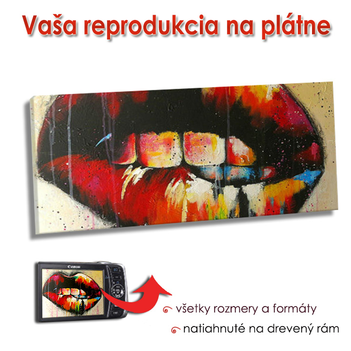 Reprodukcia na plátne - PANORÁMA / 80x160 cm