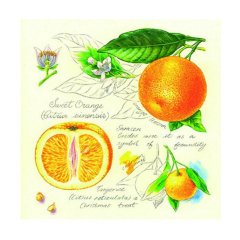 Servítky na dekupáž Pomaranče - 1 ks